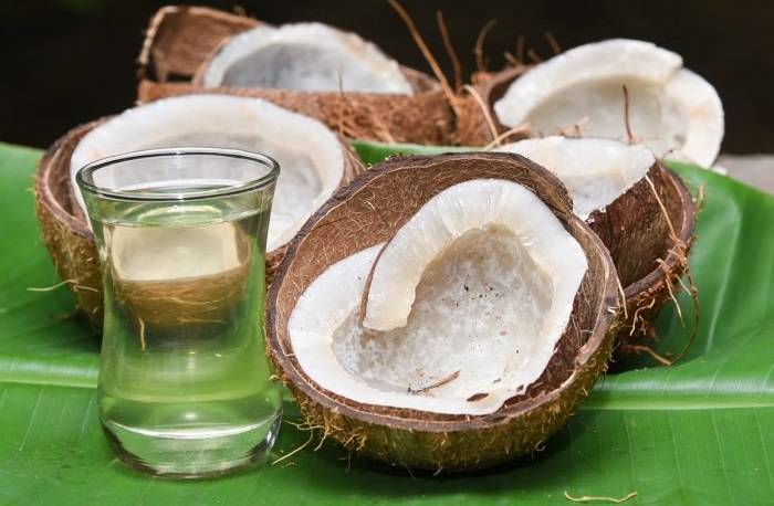 Калорийность кокоса