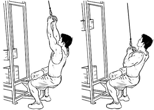 Тяга штанги в наклоне к поясу прямым и обратным хватом: техника выполнения