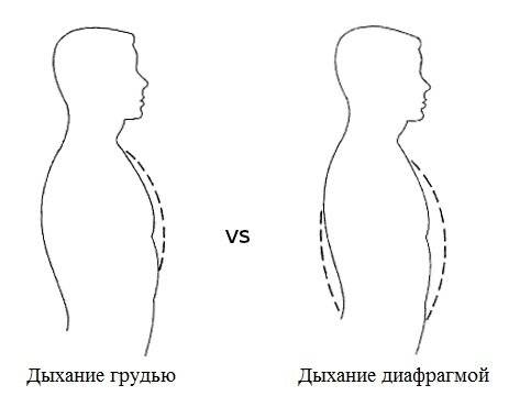 Дыхание животом: как научиться правильно дышать животом, техника глубокого диафрагмального дыхания