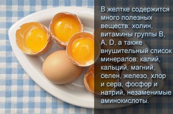 Яйца куриные: польза и вред для мужчин и женщин, в каком виде полезнее