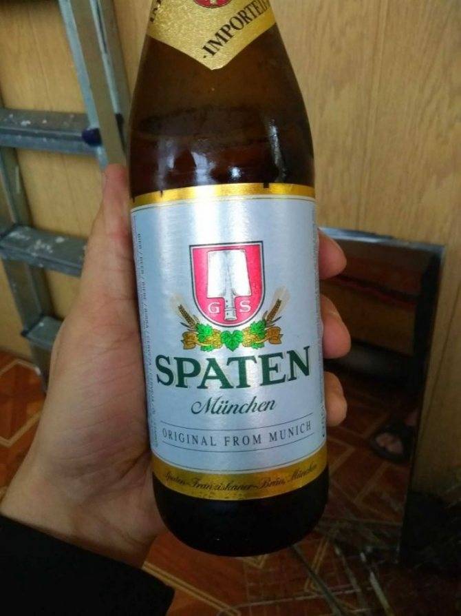 Пиво löwenbräu: история, обзор видов, награды + интересные факты