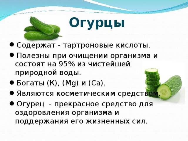 Чем полезны помидоры для организма