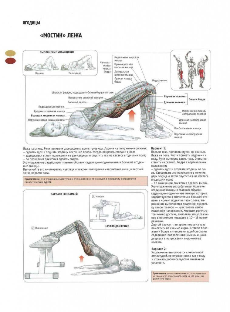 Как накачать ноги девушке в домашних условиях, 13 упражнений