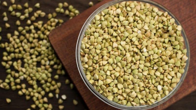 Зеленая гречка: польза и вред, калорийность, полезные свойства