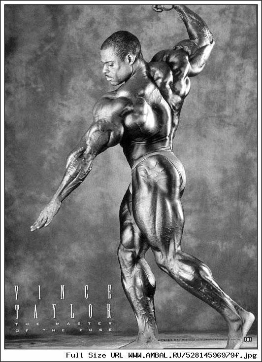 Винс тейлор