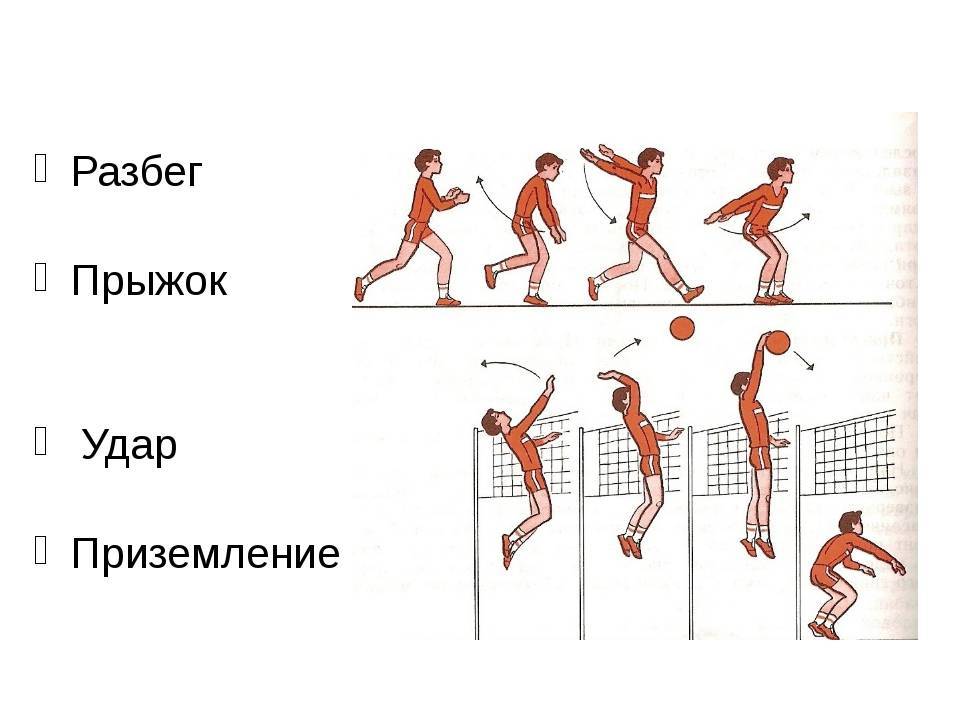 Как научиться прыгать в длину с места: правильно и быстро