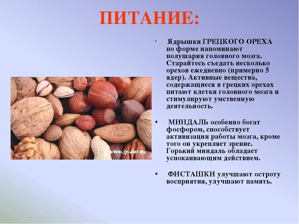 Продукты, которые помогут запомнить