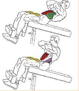 Прямые скручивания: техника кранчей лежа на полу для женщин и мужчин