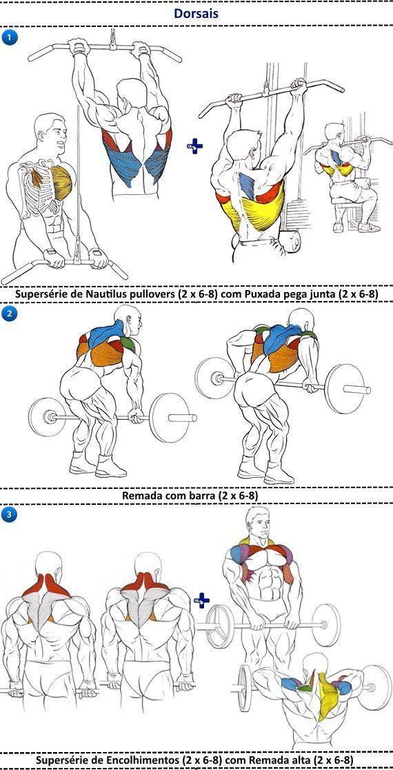 Как накачать мышцы: идеальная программа тренировок в тренажёрном зале