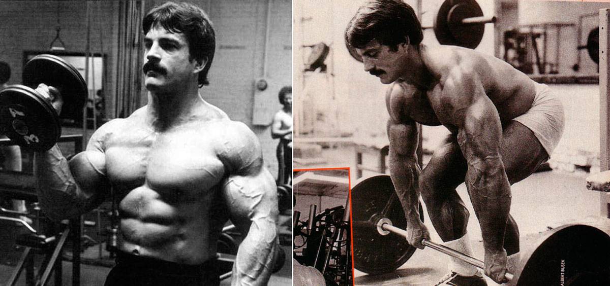 Майк ментцер. для начинающих