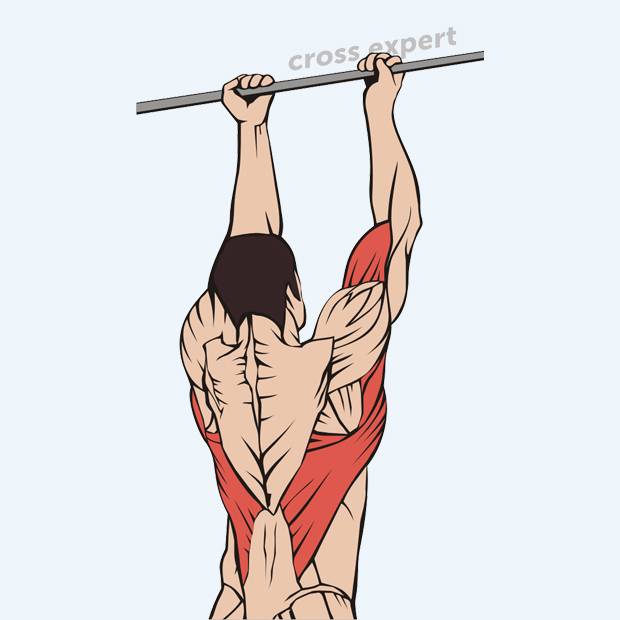 Подтягивания узким хватом: техника выполнения, какие мышцы работают