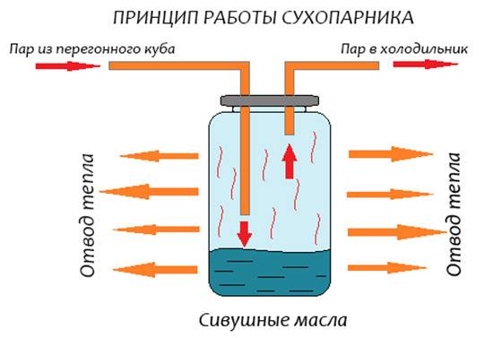 Сброженные соки: 5 рецептов в домашних условиях