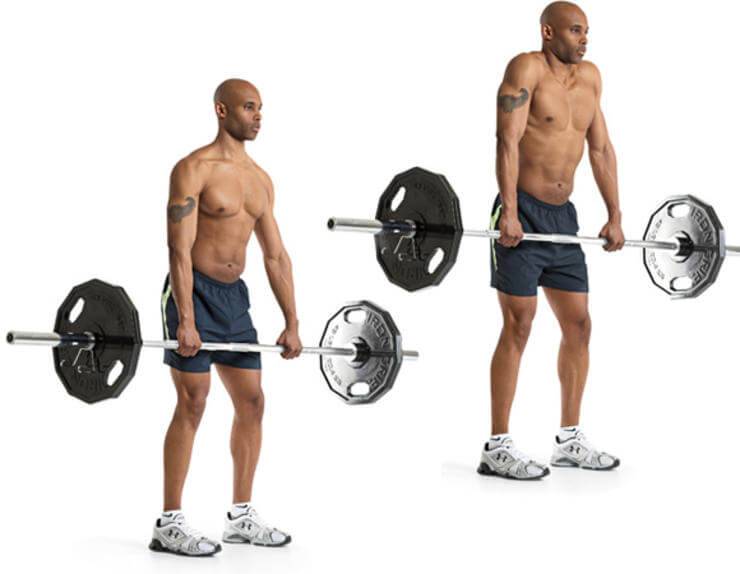 Шраги с гантелями стоя или сидя: техника выполнения в деталях