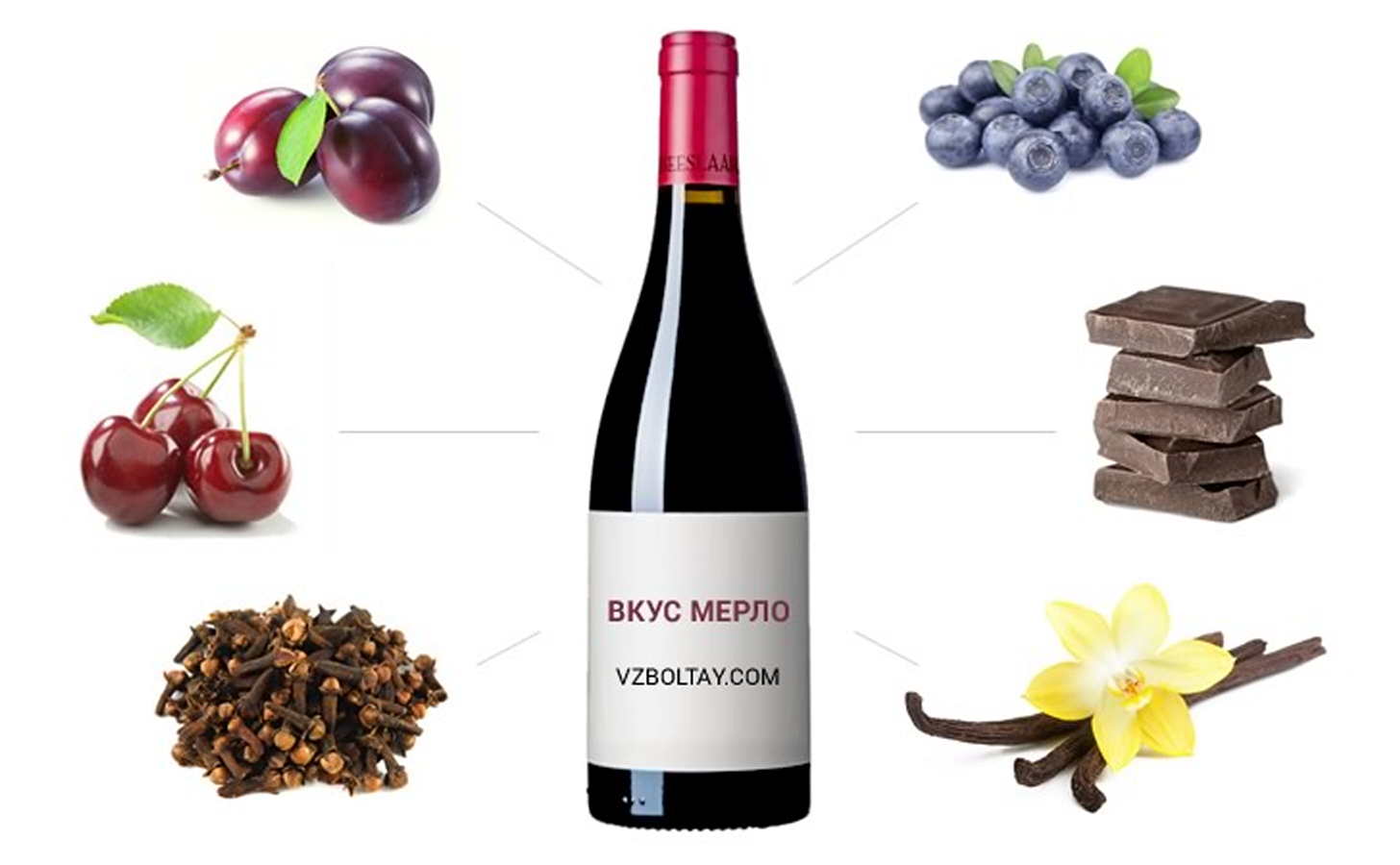 Вкус вина помогает. Сорт вина Мерло. Аромат вина. Вкусы сортов винограда в вине. Сортовое вино.