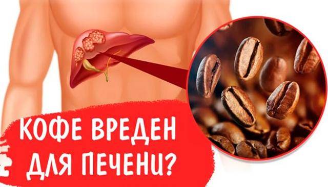 Кофеин вред и польза, влияние на организм человека. вся правда