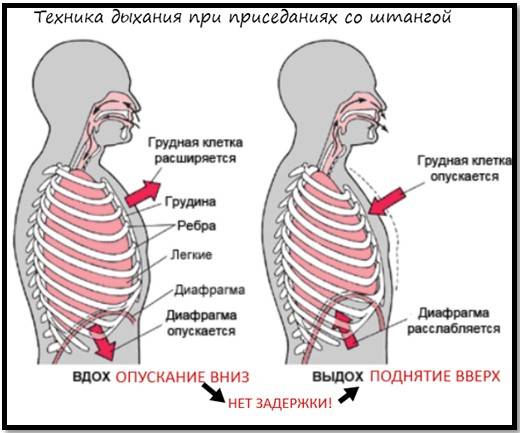 Дыхательная гимнастика для похудения живота: упражнения, правильное дыхание