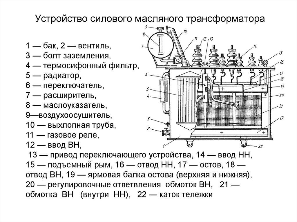 Хванчкара вино: обзор + как выбрать