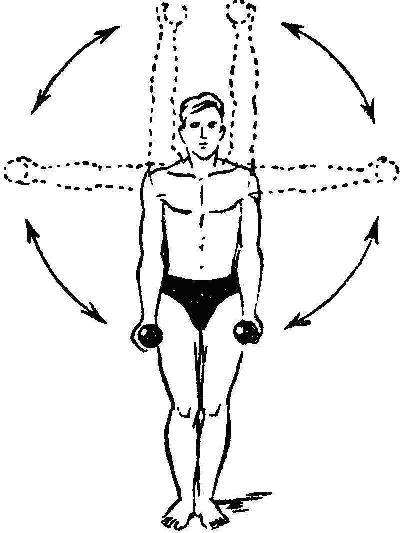 Упражнения для плечевого пояса. Вращение рук с гантелями. Круговые движения с гантелями. Упражнения на плечевой пояс с гантелями.