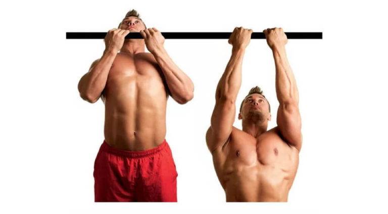 Подтягивания обратным хватом: польза, виды и техника выполнения