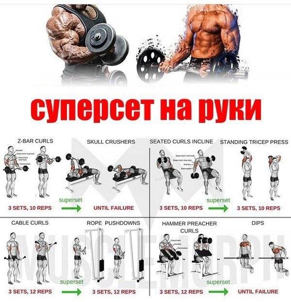 Как накачать спину и плечи: лучший комплекс упражнений