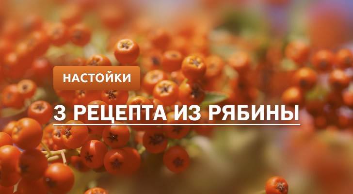 Настойка на рябине в домашних условиях