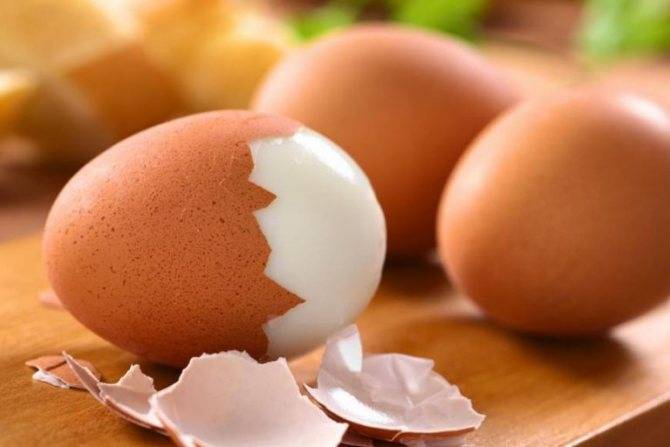 Польза и вред куриных яиц, состав, калорийность, хранение, приготовление