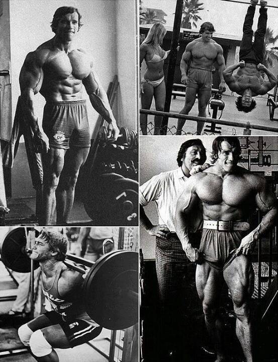 Биография арнольда шварценеггера (arnold shvarcenegger)