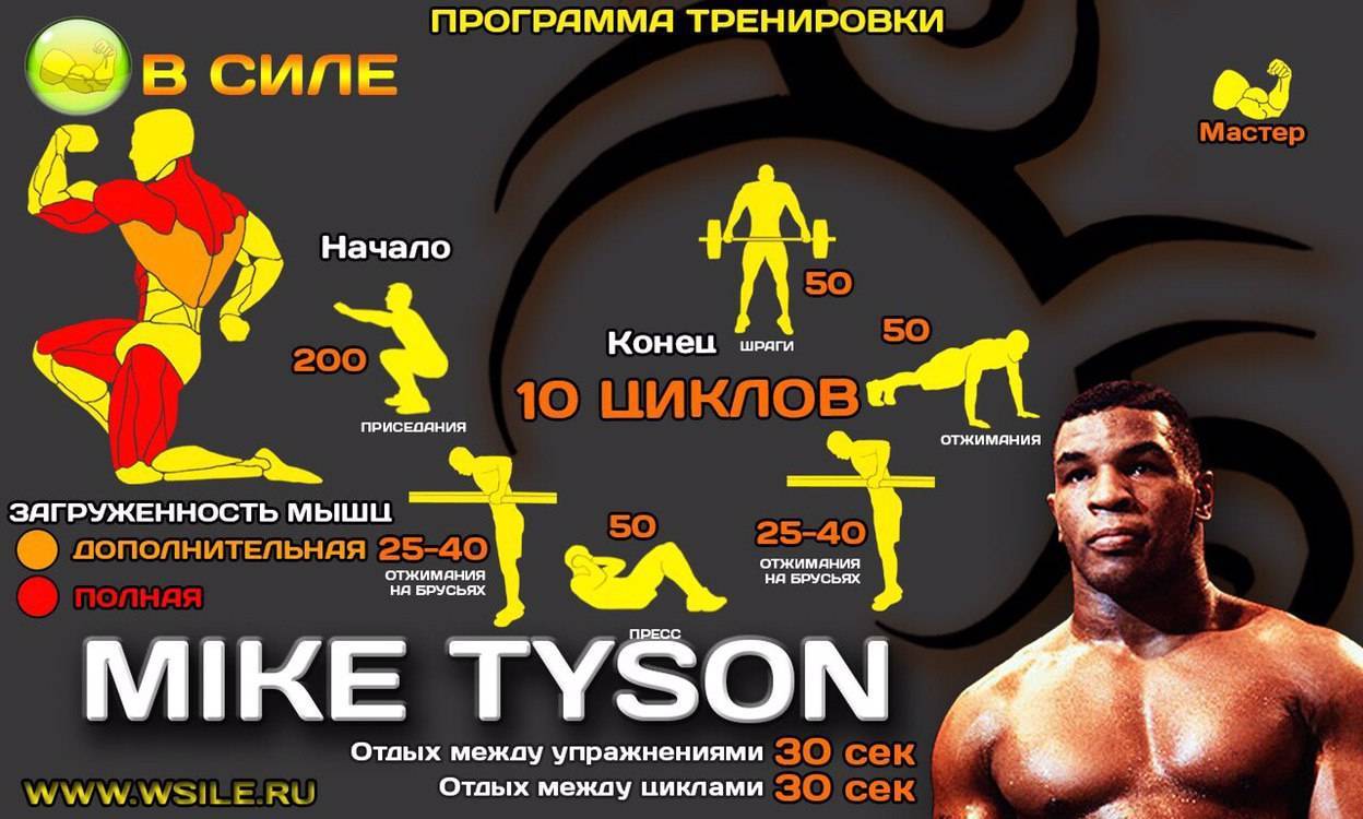 Упражнения на выносливость: как быстро развить силовые и скоростные показатели