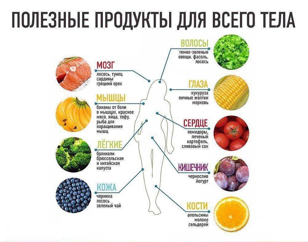 Питание по группе крови — таблица продуктов, научный обзор системы и советы по правильному употреблению еды