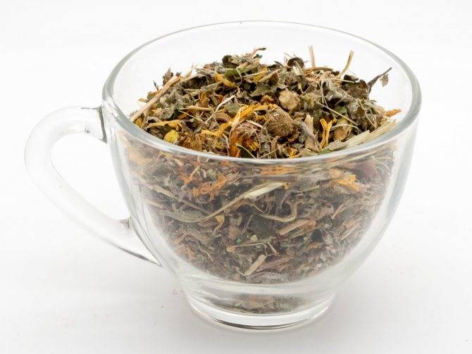 5 чаев, разжижающих кровь и укрепляющих стенки сосудов: черный, зеленый, цикорий и другие сорта