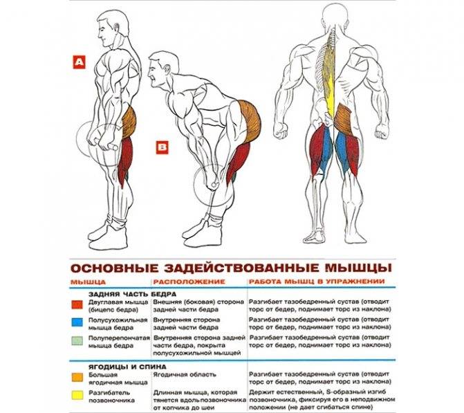 Тяга ли хейни