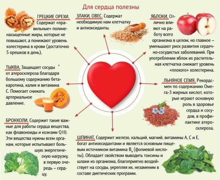 14 продуктов для сердца и сосудов. о пользе некоторых из них вы и не догадывались! | полезно (огород.ru)