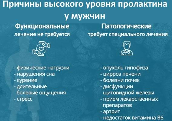 Пролактин в бодибилдинге: причины повышения, как понизить