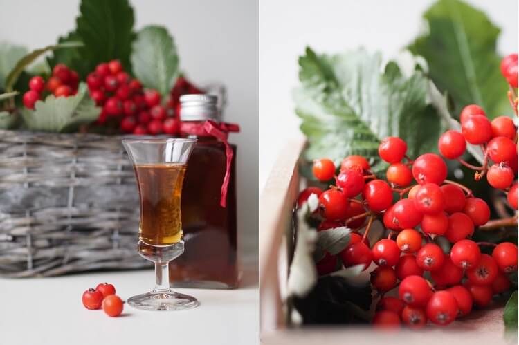 Наливка из рябины: 4 рецепта в домашних условиях