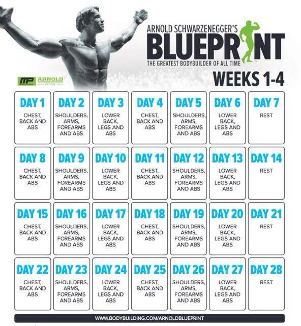 Бодибилдинг для начинающих. 6 главных правил.