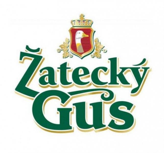 Пиво жатецкий гусь: история, виды и короткие обзоры