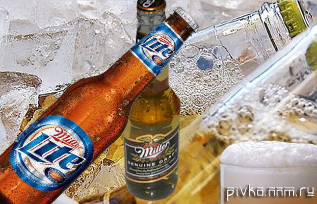 Пиво миллер (miller) — описание, история производства и интересные факты