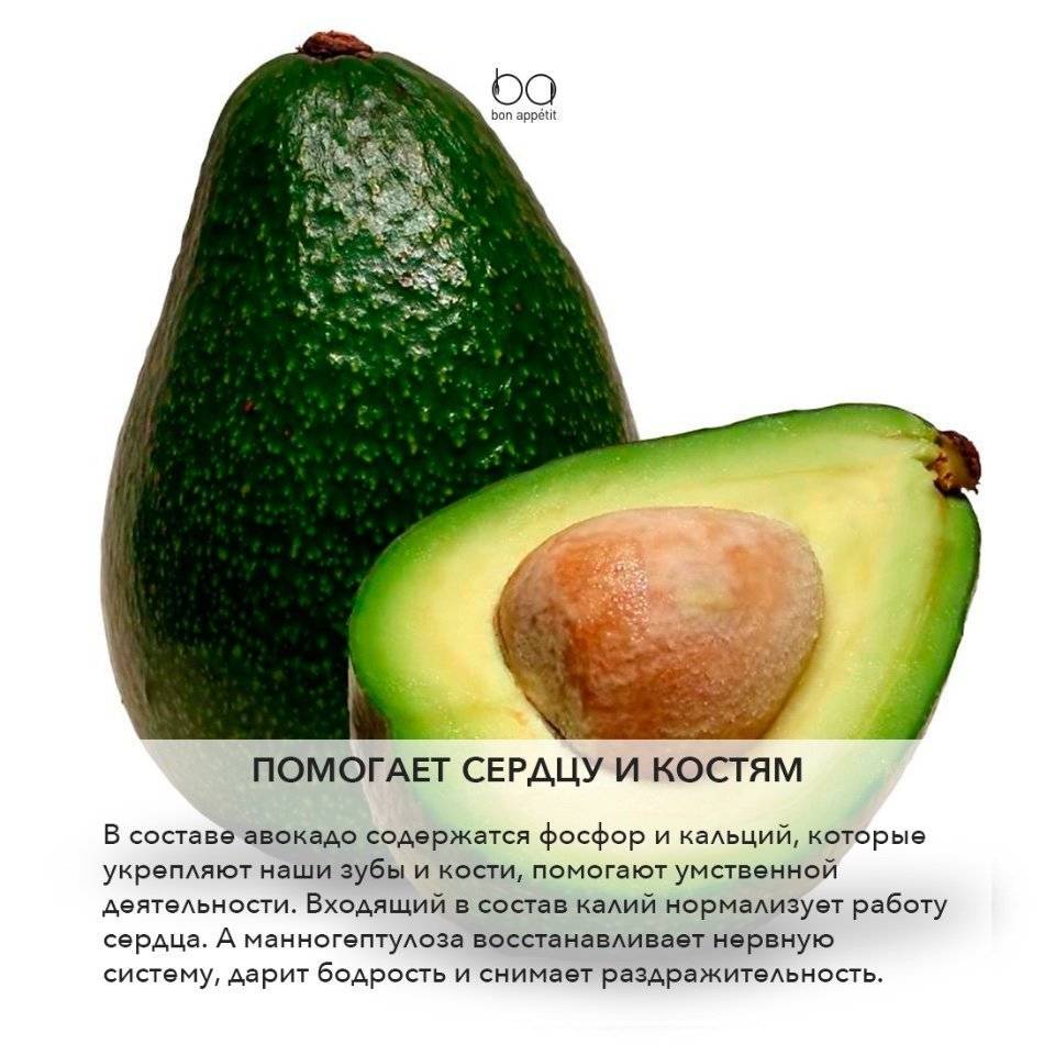 Авокадо: польза и вред для организма человека, женщины, мужчины, калорийность, как его едят