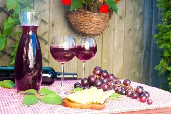Домашнее вино из винограда - как приготовить в домашних условиях по простым рецептам с фото