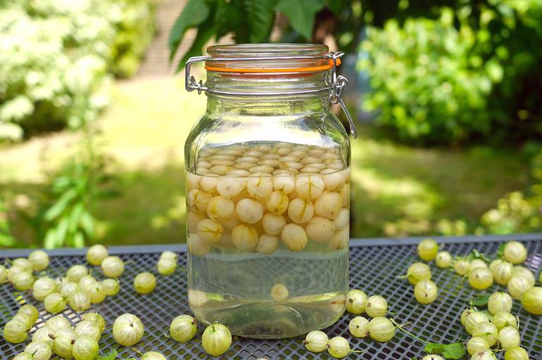 Ликер из крыжовника: 3 рецепта в домашних условиях