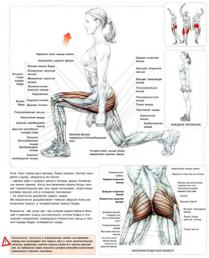 Как накачать ноги в домашних условиях? лучшие советы и тренировки