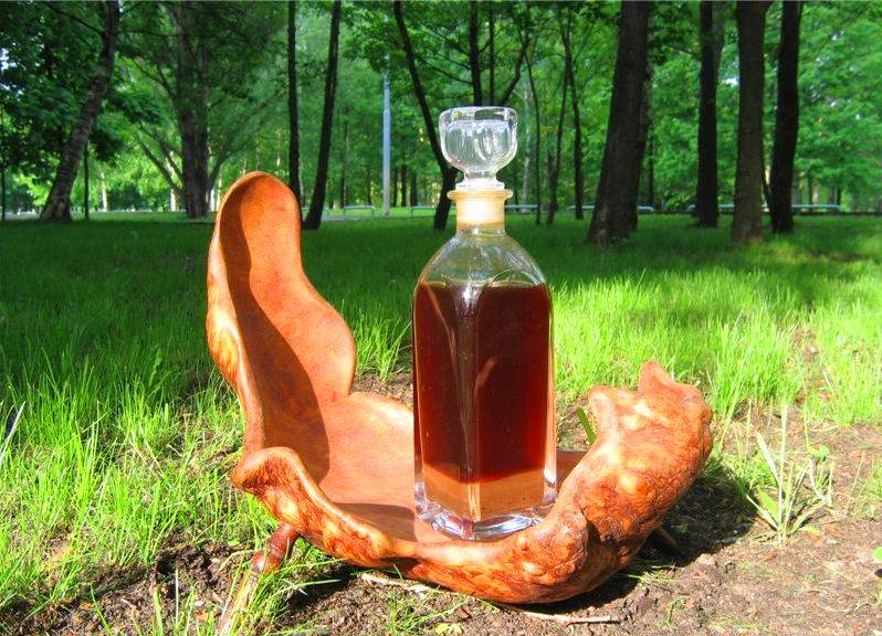 Бобровая струя: как принимать настойку правильно? что она лечит? сколько её принимать?