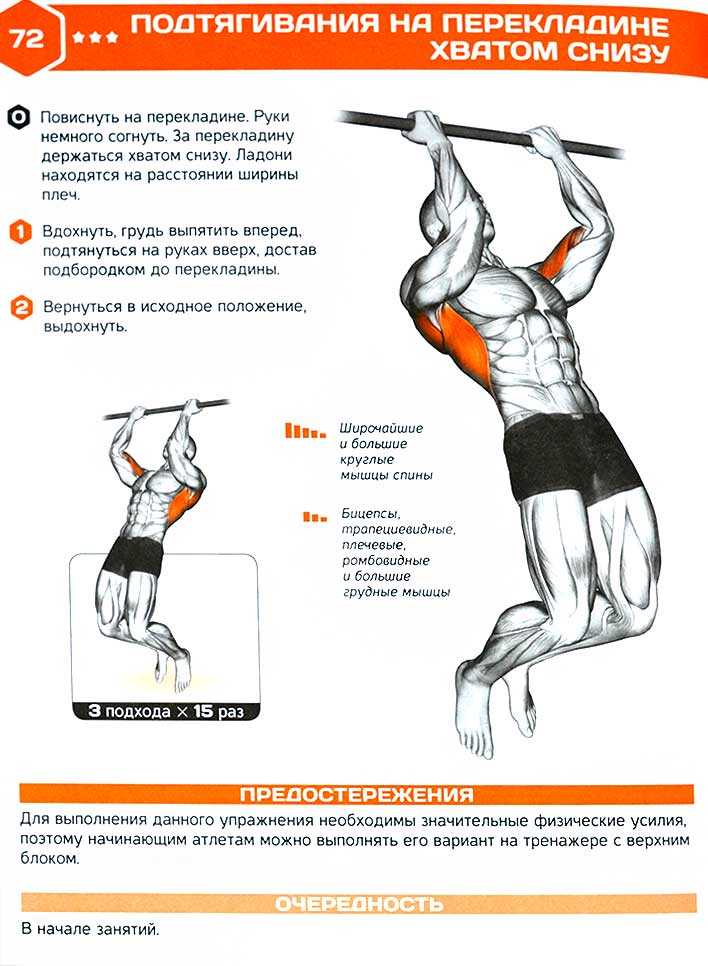 Подтягивания на силу, выносливость и массу: программа тренировок | irksportmol.ru