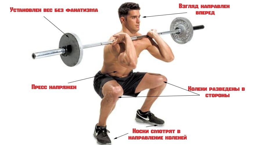 Приседания со штангой на плечах