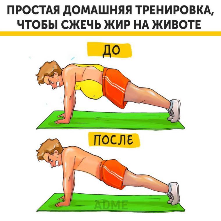 Упражнения для сжигания жира на животе: для мужчин и женщин