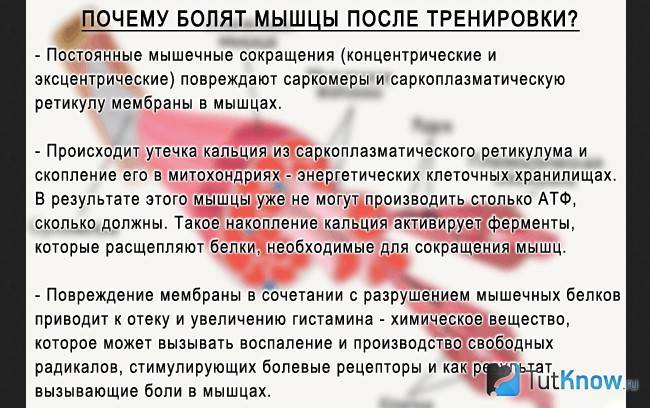 Болят мышцы рук после тренировки - сильно, что делать