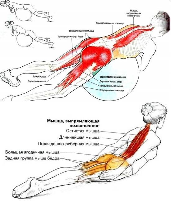 Упражнение лодочка