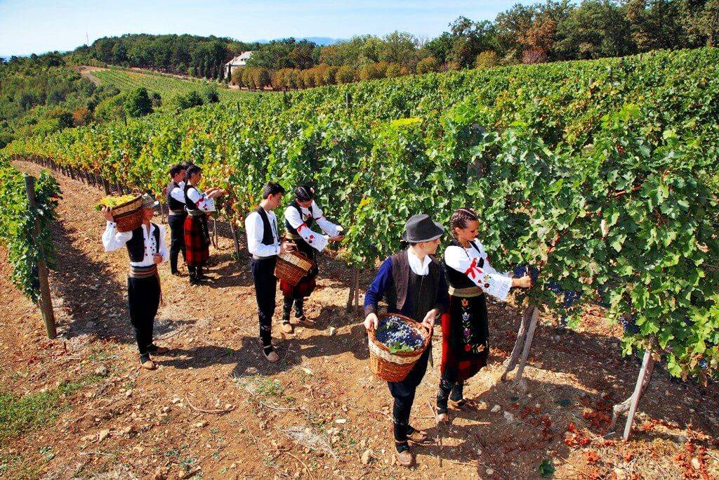 Наливка из малины: 11 рецептов в домашних условиях