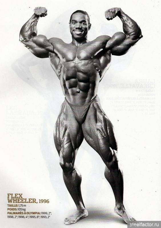 Флекс уиллер (flex wheeler) биография