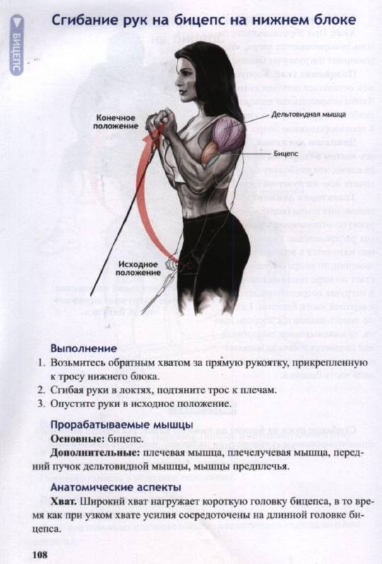 Сгибание и разгибание рук в упоре лежа: описание и техника выполнения